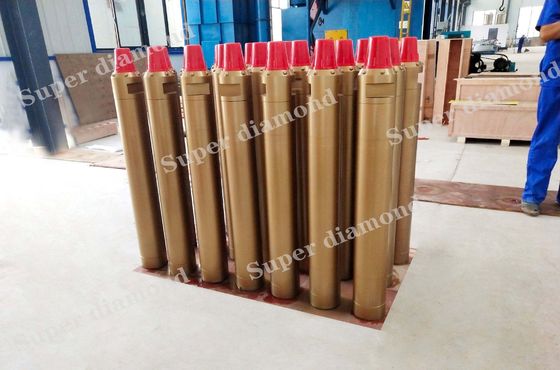 Spray-Paint 2 Inch to 12 Inch DTH Hammer Cop54 and Bit for Hard Rock Drilling RH510